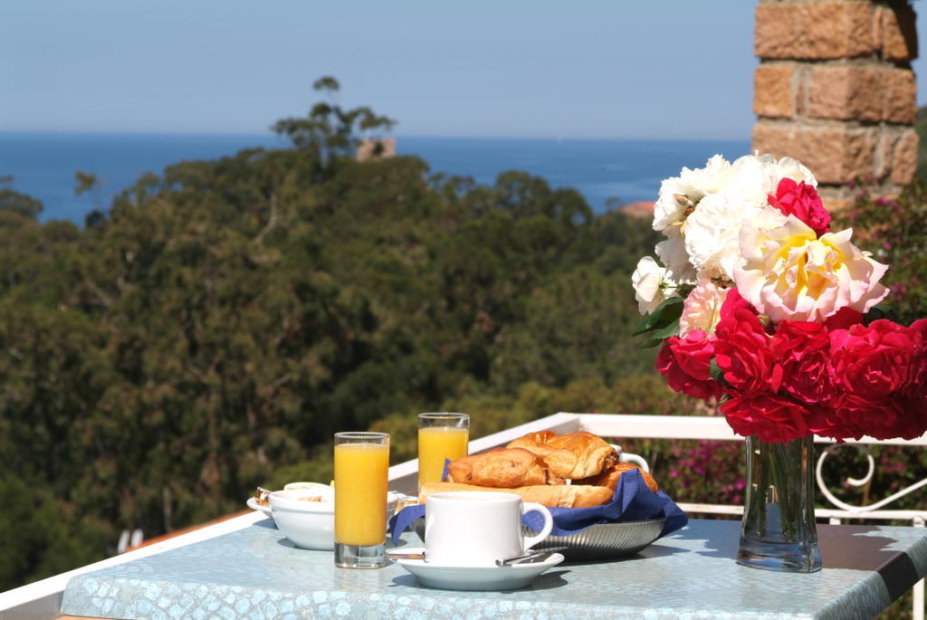 Hotel Capo D'Orto - Porto - Corse Pokój zdjęcie